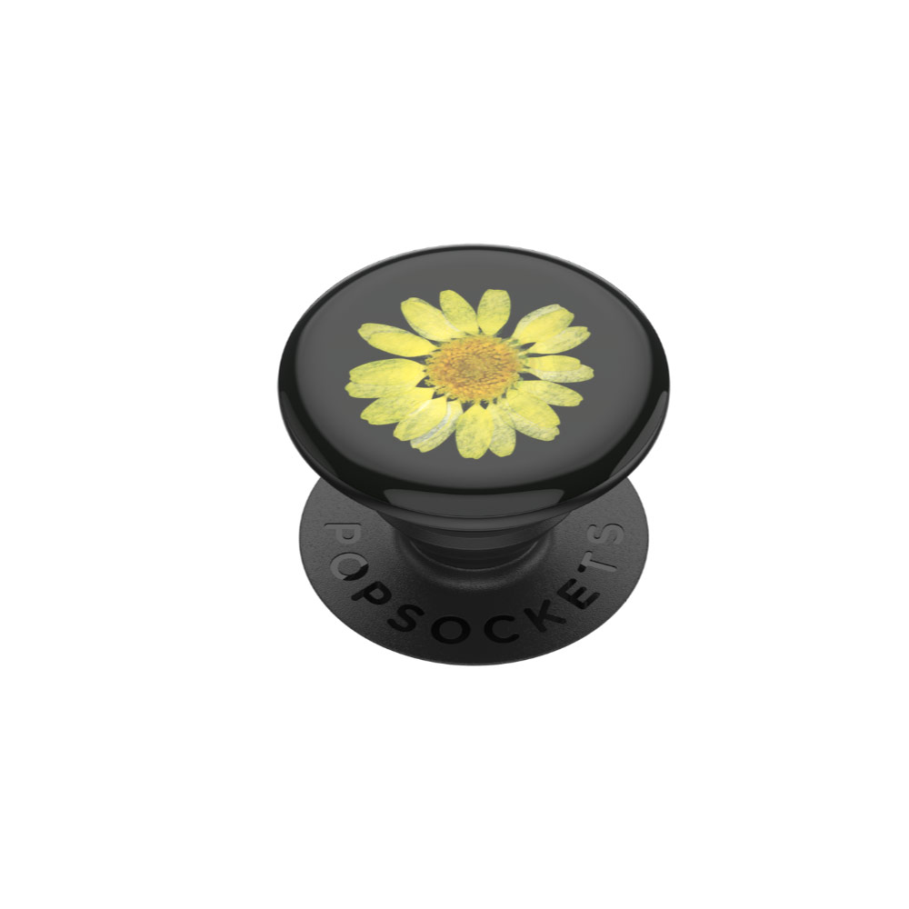 Picture of Popsockets PopGrip Swappable (Pressed Flower Yellow Daisy)