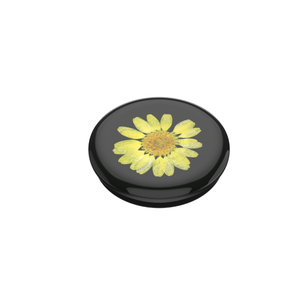Picture of Popsockets PopGrip Swappable (Pressed Flower Yellow Daisy)